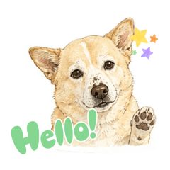 asagin_20260424220344