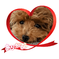 colon_20260424213556