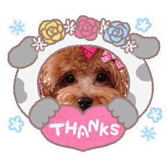 moamoa0208_20260424220418