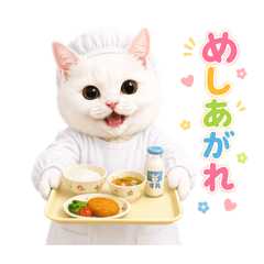 MOMO-kyushokuchoriin-_20260424220030