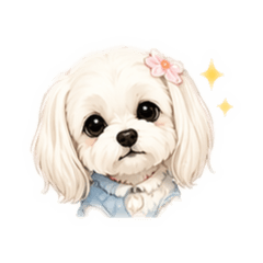 yurii_20260424220253