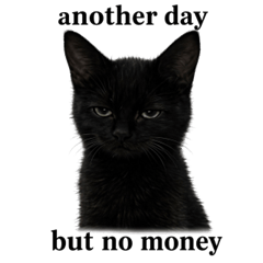 Even Black Cats Have Hearts