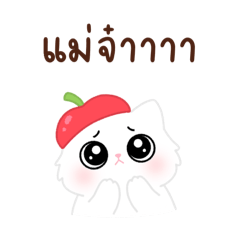 Nomiwiris_20260424124358