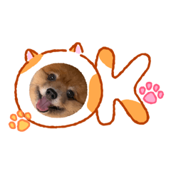 Pong Pong_20260424130835