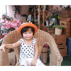 Norii_20260424123013