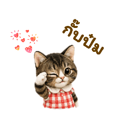 Ton-Hom, A little cat.