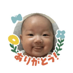 fukup_20260424191014