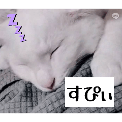 mizore.arare_20260424190909