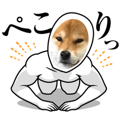 renini_20260424191130