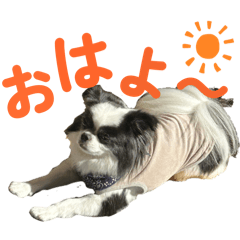 northvillage_20260424191133