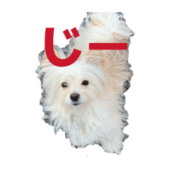 SenaX_20260424191415