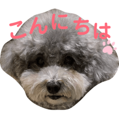 peach_20260424191051