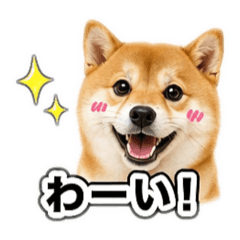 CHEESE_20260424192043