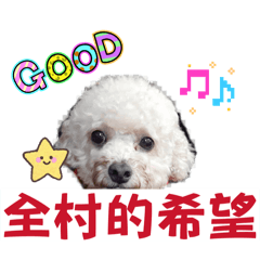 JasonTing語錄part3