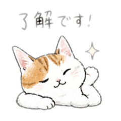 reg777_20260424204037