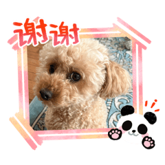 mikity_20260424222724