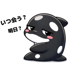 raycha_20260424222531