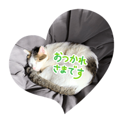 niko niko_20260424222550