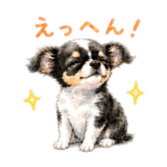 rit_d_20260424222321