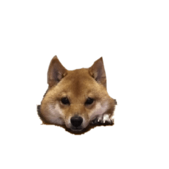 gonsuke_20260424222412