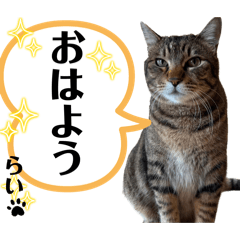 timotarou_20260424222235