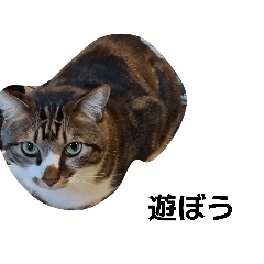 henna kao_20260424221810