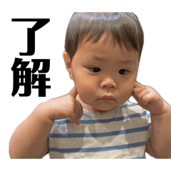 maco._20260424222657