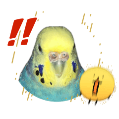 tsugumu_20260424204247