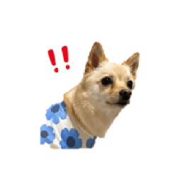 mmmffyhvdrt138796_20260424205310