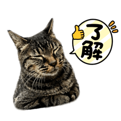 SUIJIN_20260424205447