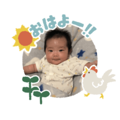 pukumaru_20260424205301