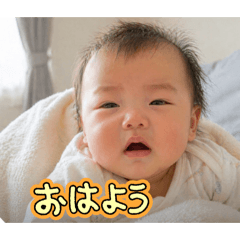 baby's smile  shibako