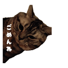 Yuika_20260424225037