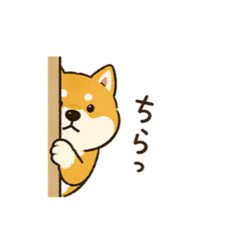 108mandala_20260424225242