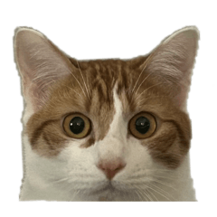 Mayakovsky_20260424225206