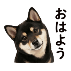 Earth Creative Lab_20260424224544