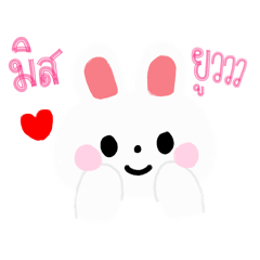 Nampow ssnp_20260424134931