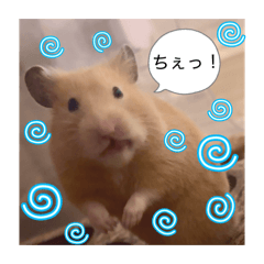 lucky_20260424212400