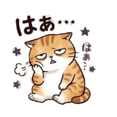 momohana_20260424231154