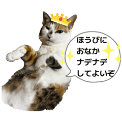 keiko2517_20260424231512