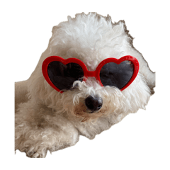 poika_20260424231536