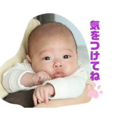 maropon_20260424231718