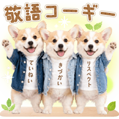 teinei keigo toy Corgi