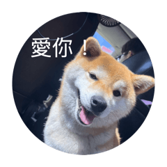 蝦餅的日常用語