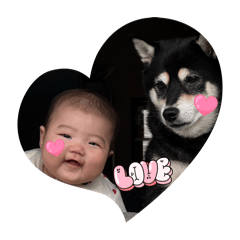 Sorako_20260424233322