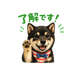 jun_20260424234315