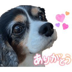 mayuchan_20260424234139