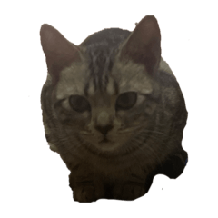 ehehe_20260424234531