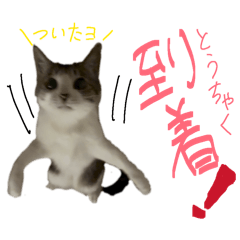 m1yu_20260423233423