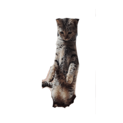 okamoto_20260424234023